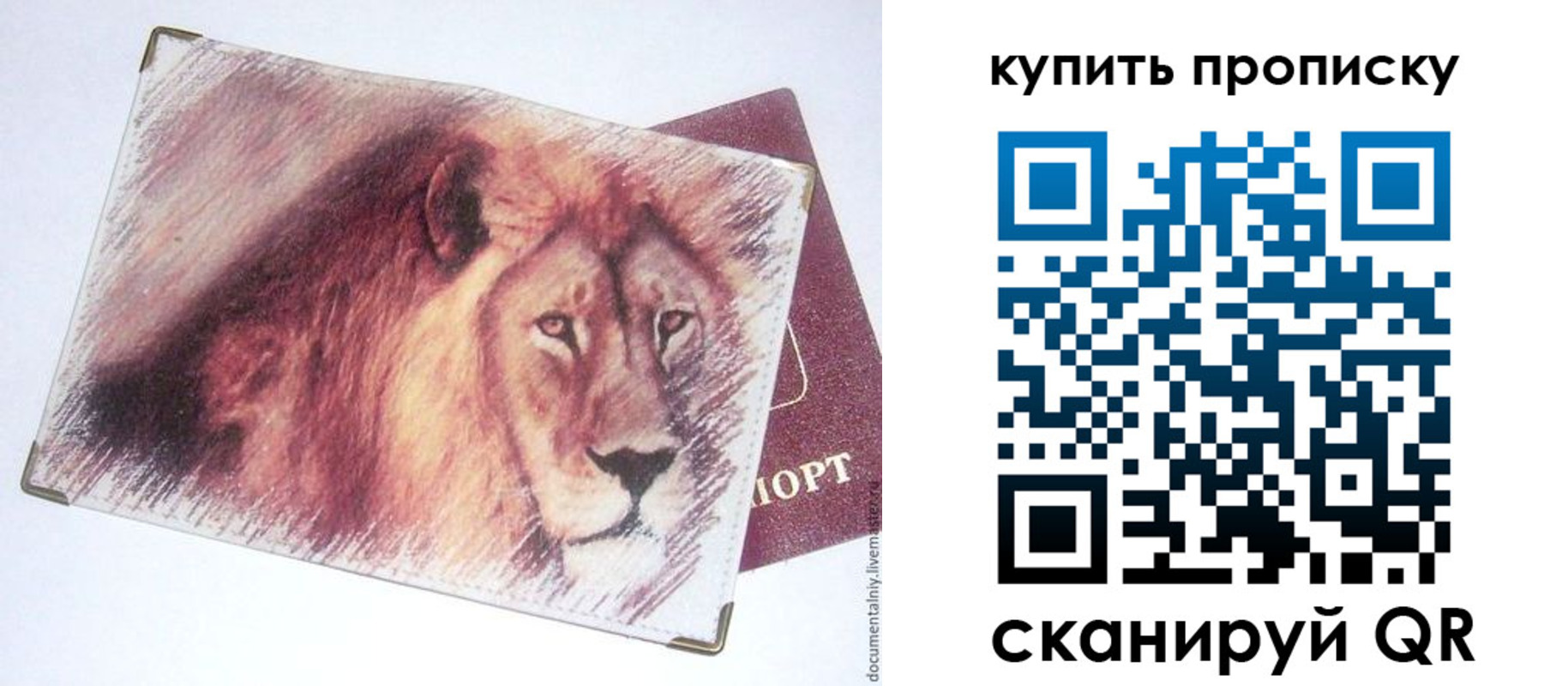 прописка паспорт в Коряжме